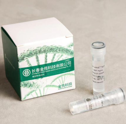 Golden Tran®-D 质粒DNA转染试剂
